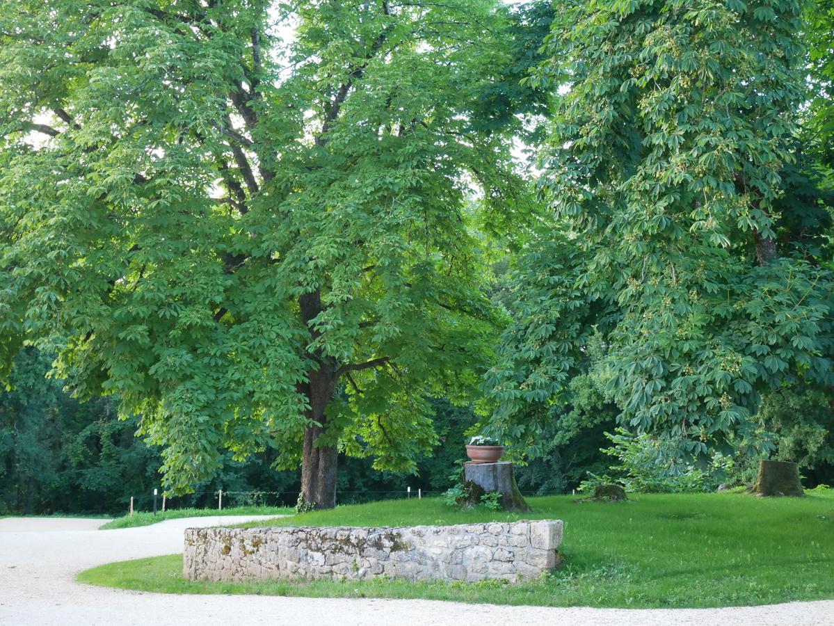 Les Maisons Du Cheylard-Lascaux Villa Les Farges  Kültér fotó